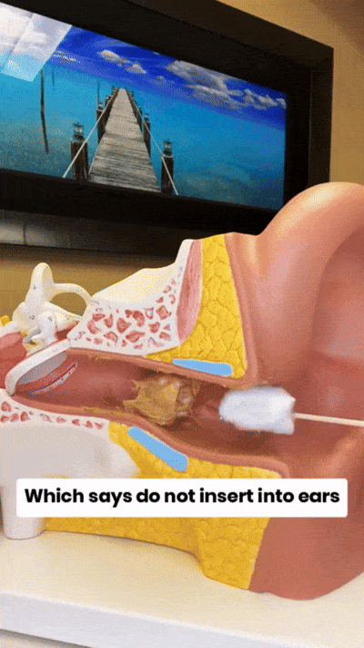 Visual Smart Ear Cleaner